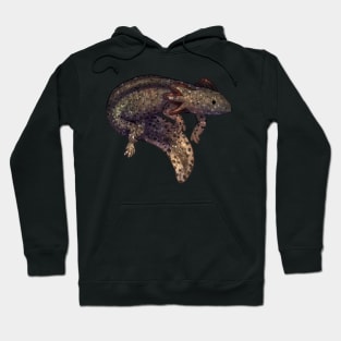 Cozy Axlotl Hoodie